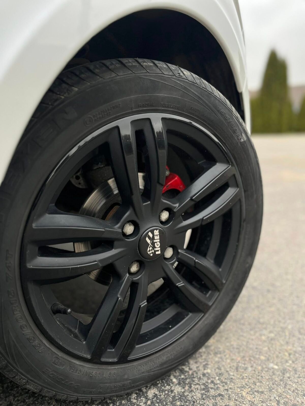 Ligier Js50 Sport – Image 6